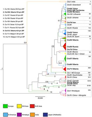 From the Past to the Present: Wolf Phylogeography and Demographic History Based on the Mitochondrial Control Region
